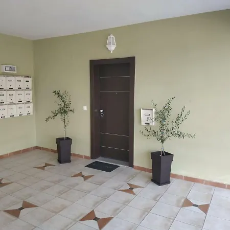 Olive Tree Green Apartment *